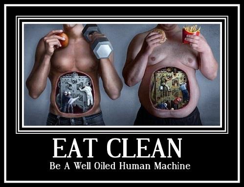 WellOiledHumanMachine